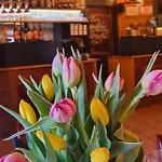 Teatralna1 Semesterbostad Piechowice (Karkonosze)