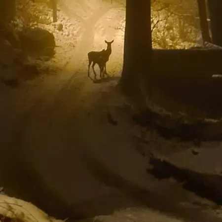 Teatralna1 * Piechowice (Karkonosze)