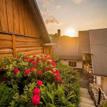 Teatralna1 Prázdninový dům *