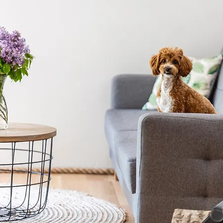 Teatralna1 Prázdninový dům Piechowice (Karkonosze)