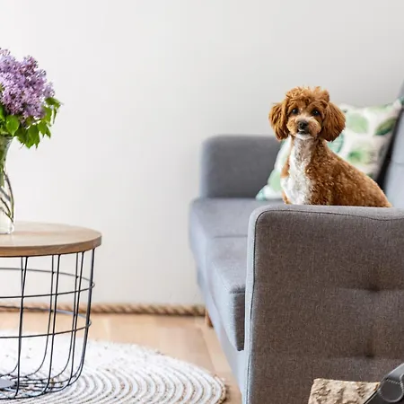 Teatralna1 * Piechowice (Karkonosze)