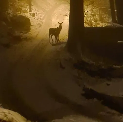 Teatralna1 * Piechowice (Karkonosze)