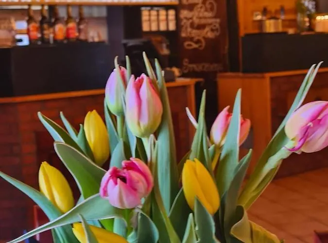 Teatralna1 Holiday home Piechowice (Karkonosze)