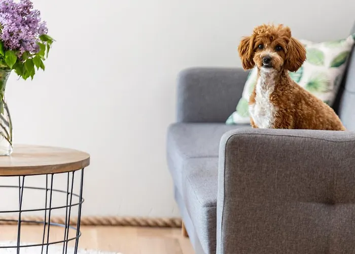 Teatralna1 Holiday home Piechowice (Karkonosze)