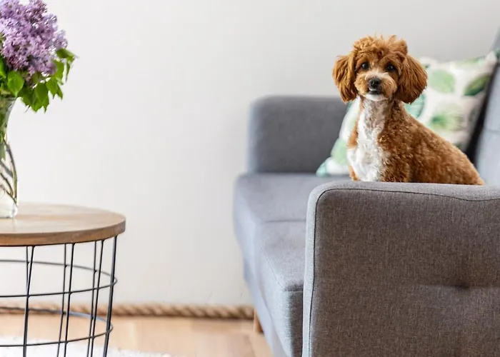 Teatralna1 * Piechowice (Karkonosze)